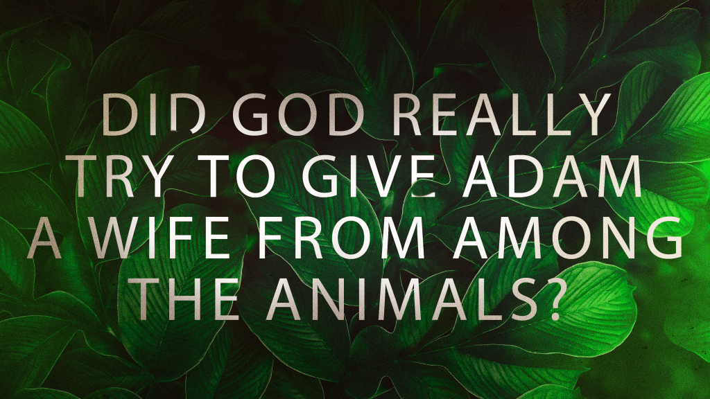 Article | Did God Really Try to Give Adam a Wife from Among the&nbsp;Animals?